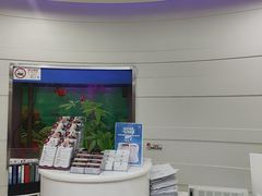 -雅悦齿科(顾村公园店)