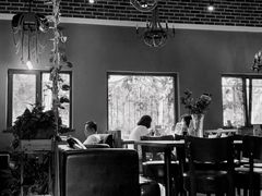 大堂-初见咖啡(青大路店)