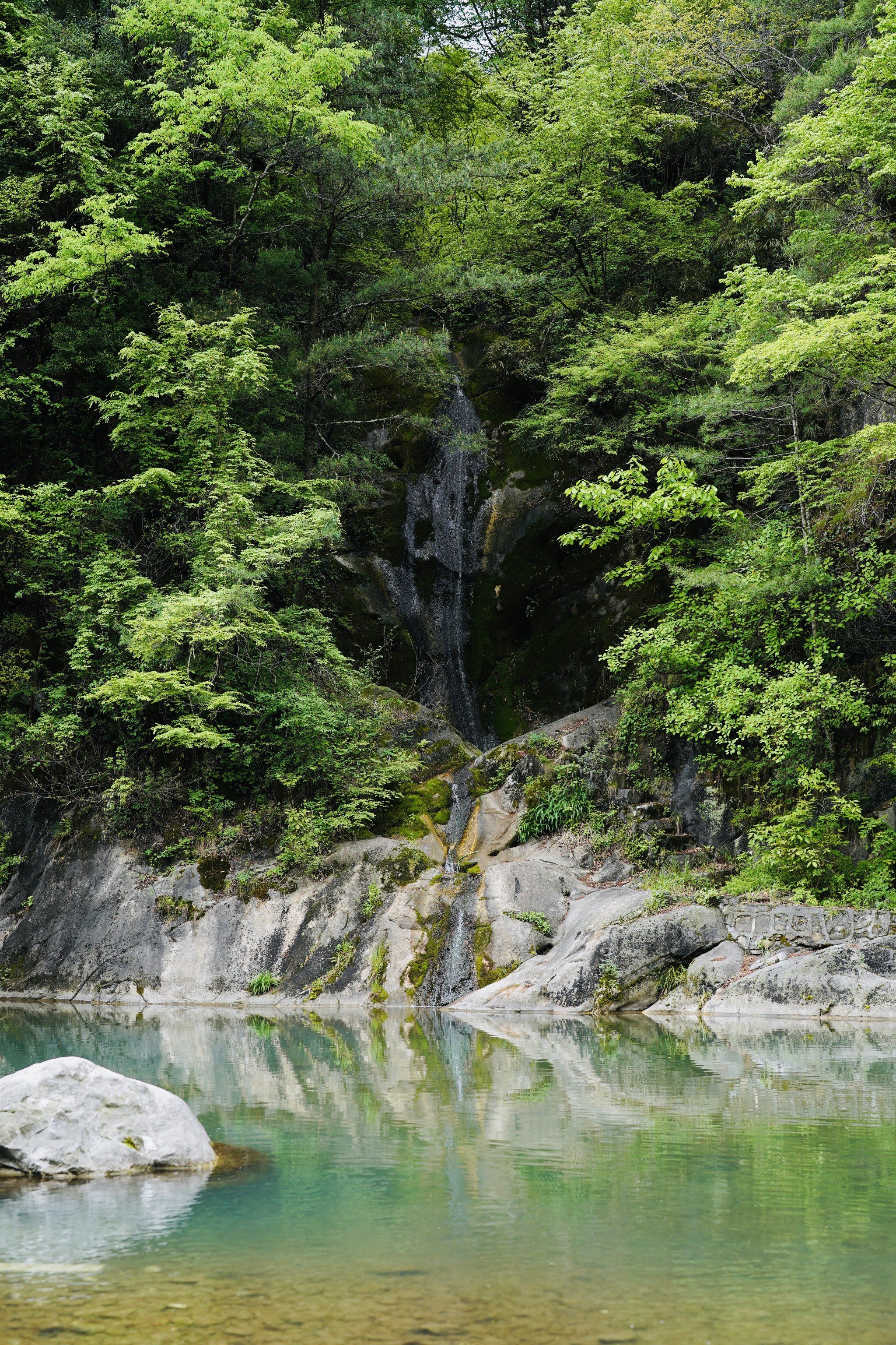 这次去宁陕皇冠镇的朝阳沟,可能因为目前还是春夏交替时节,朝阳沟景区