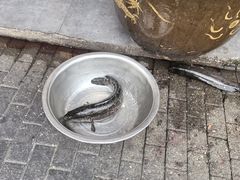 -老四川平头酸菜鱼(衙前店)