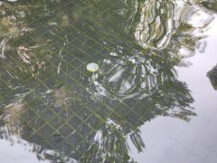 -七彩云南古滇温泉山庄