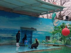 -西安秦岭野生动物园