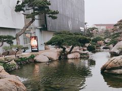 -罗红摄影艺术馆