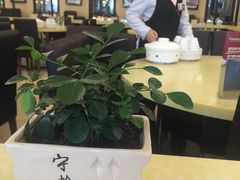 -老昌春饼(西民主路总店)