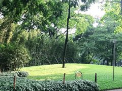 -晓港公园
