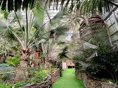 -呀路古热带植物园