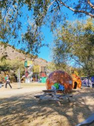 -浅山蜜塘奇妙乐园·亲子营地