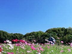 -广州市流溪河国家森林公园