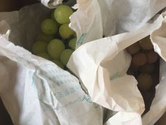 -马陆小张葡萄园农家乐