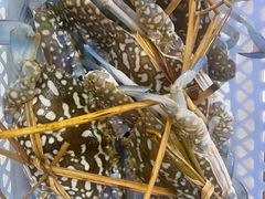 -覃记海鲜美食餐厅