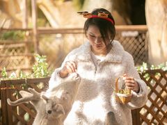 -杭州开元森泊度假乐园