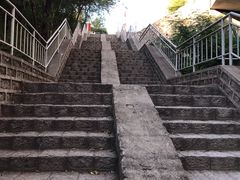 -白水寺森林公园