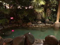 -张家港金凤凰度假村温泉