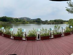 -福田红树林生态公园