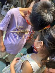 -酷嗒动物文化乐园(cutezoo西溪乐天城店)