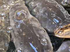 -魏铭鱼头捞饭(晋阳路店)