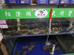 -阳澄湖大闸蟹·琼灵阁牌品牌连锁(吴中总店)