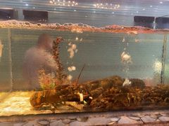 -巽寮印象美食部落餐厅·海鲜·地方特色菜(惠州体验店)