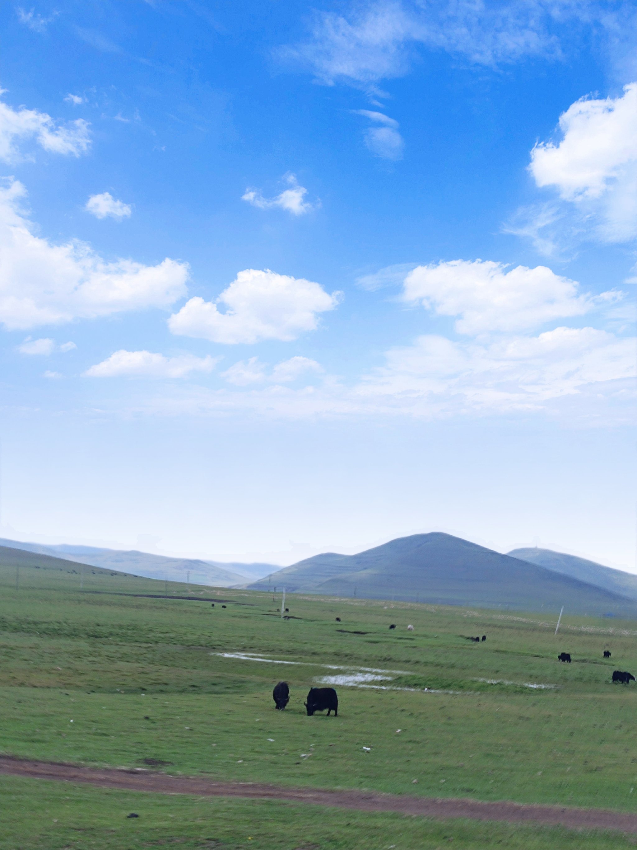狼渡滩天气今日情况