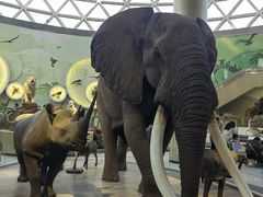 -陕西自然博物馆