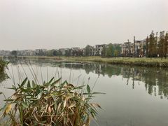 -两河城市森林公园