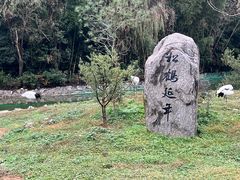 -杭州野生动物世界