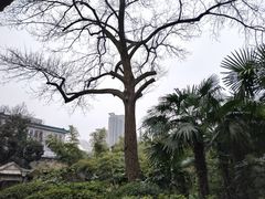 -常州古运河南大街文化旅游区-人民公园
