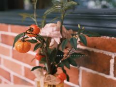 -Dal Cuore 达可芮冰淇淋(陕西北路店)