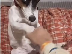 -大芬美术馆