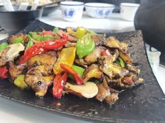 -蘑统田下·野生菌火锅