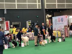 -香港会议展览中心演讲厅
