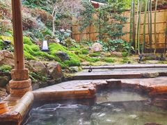 -有马温泉 竹取亭円山温泉旅馆
