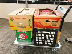 满满的水果-菜园坝水果市场