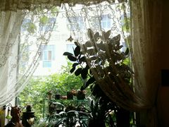 窗-露西亚咖啡西餐厅(哈尔滨俄侨纪念馆店)