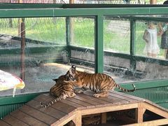 -秦皇岛野生动物园