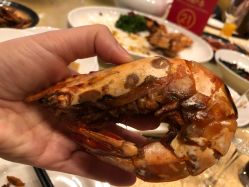 -上海外高桥喜来登酒店·宴会厅