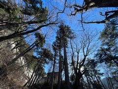 -华山风景名胜区