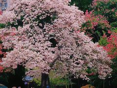 -华南师范大学(广州大学城校区)