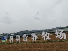 -君乐宝优致牧场