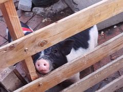 -祥源·阜阳生态乐园