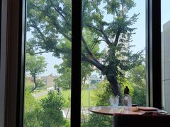-上海宝华喜来登酒店·采悦轩中餐厅