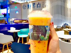 -野萃山·潮汕厚果汁(十亩地店)