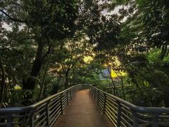 -玉树公园