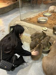 -Zoolung Zoolung动物主题公园(海信广场店)