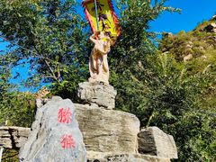 -大岭沟猕猴桃谷风景区