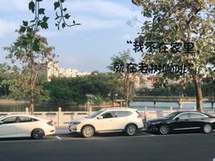 -OLD TREE老树咖啡·西餐厅(台山人工湖店)