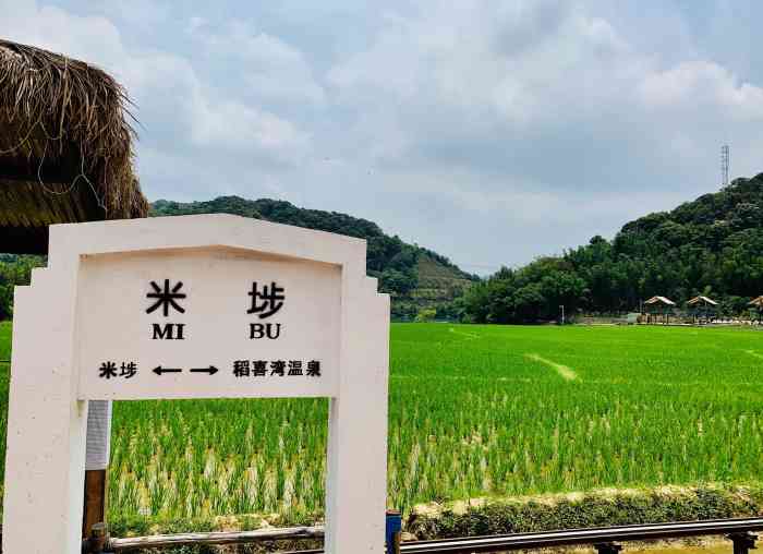 米埗小镇-"[礼花][礼花][种草][种草][种草]."-大众点评移动版