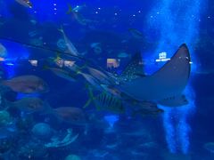 -成都浩海立方海洋公园