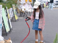 -肥朵食堂(带梦胡同店)