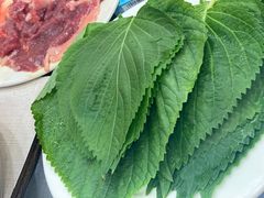 -松明一烤肉馆(鲁园店)